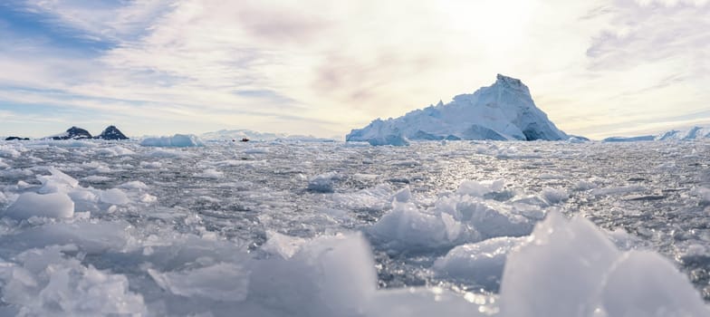 Antarctic iceberg landscape in Cierva Cove - a deep inlet on the west side of the Antarctic Peninsula, surrounded by rugged mountains and dramatic glacier fronts.