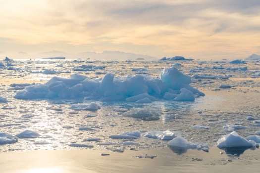 Antarctic iceberg landscape in Cierva Cove - a deep inlet on the west side of the Antarctic Peninsula, surrounded by rugged mountains and dramatic glacier fronts.