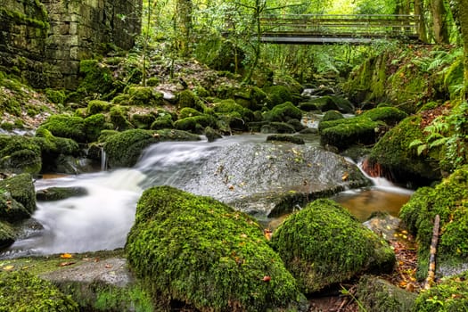 Kennall River in Kennall Vale Nature Reserve, Ponsanooth, Cornwall, United Kingdom
