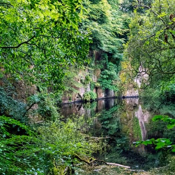 Lake in Kennall Vale Nature Reserve, Ponsanooth, Cornwall, United Kingdom