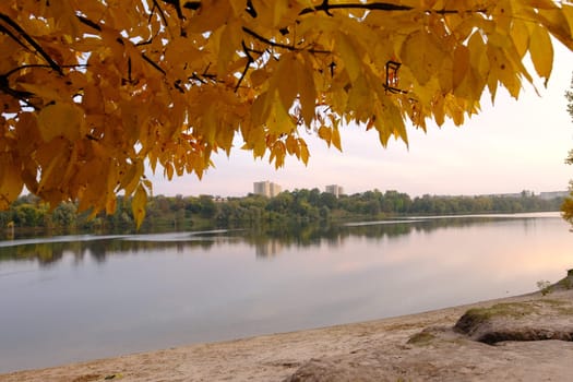 Autumn fall in park with yellow leaves trees and lake.
