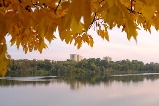Autumn fall in park with yellow leaves trees and lake.
