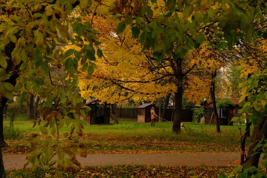 woman walking with a dog in autumn park with orange and yellow foliage around the age of 40, concept of autumn walks with pets.