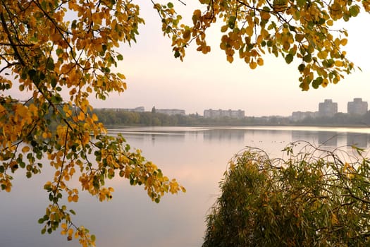Autumn fall in park with yellow leaves trees and lake.