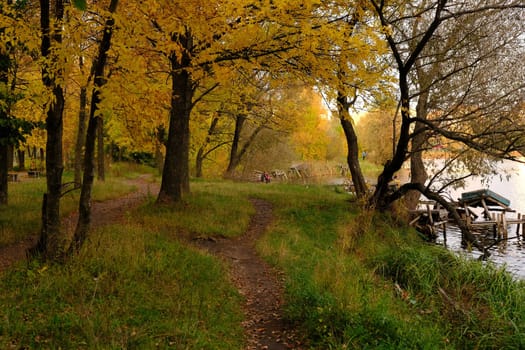Colorful trees with pathway in autumn landscape in deep forest. The autumn colors in the forest create a magnificent view. autumn view in nature