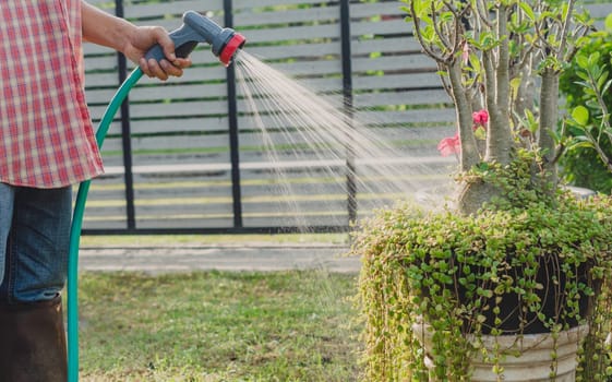 Gardeners watering plant in garden. Home garden concept.