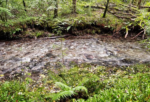 River Lyd in Lydford Gorge, Dartmoor National Park, Devon, United Kingdom