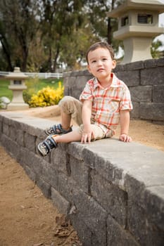 Young Chinese and Caucasian Boy Having Fun at the Park.