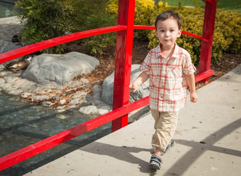 Young Chinese and Caucasian Boy Having Fun at the Park.