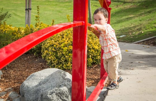 Young Chinese and Caucasian Boy Having Fun at the Park.