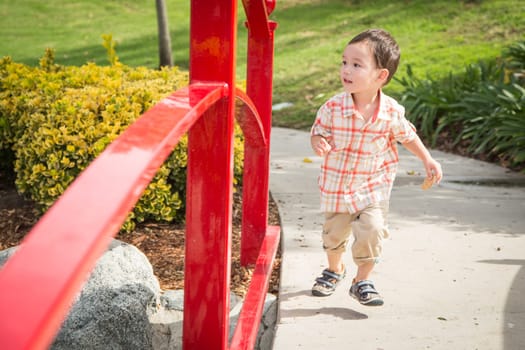 Young Chinese and Caucasian Boy Having Fun at the Park.
