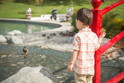 Young Chinese and Caucasian Boy Having Fun at the Park.
