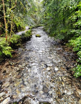 River Lyd in Lydford Gorge, Dartmoor National Park, Devon, United Kingdom