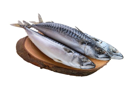 Frozen mackerel isolated on white background
