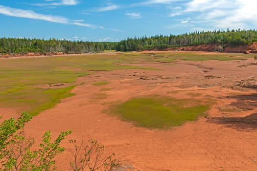 Coastal Estuary at Low Tide on the Bay of Fundy in in the Thomas Cove Coastal Preserve in Nova Scotia