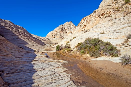 Spring Waters in a White Rock Canyon in Snow Canyon State Park in Utah