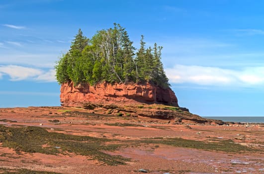 Island HIgh Above the Low Tide at Burntcoat Head in the Bay of Fundy in Nova Scotia
