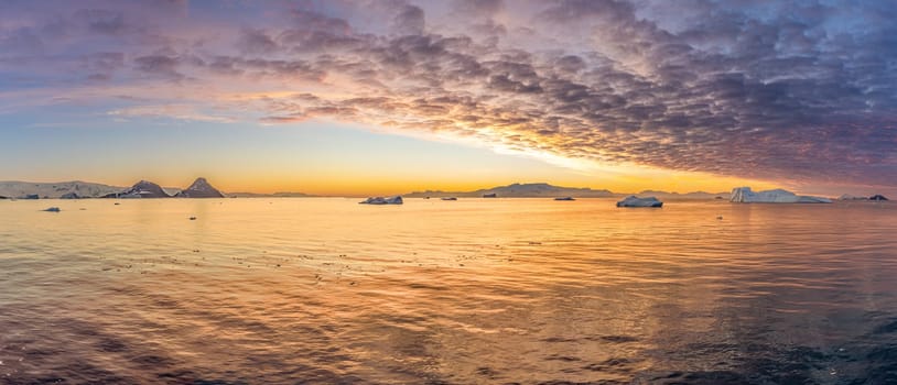 Cruise ship sails through wintry Cierva Cove - a deep inlet on the west side of the Antarctic Peninsula, ringed by Cierva Bay in San Martín Land - Antarctica, during a dramatic sunset / evening sunset.