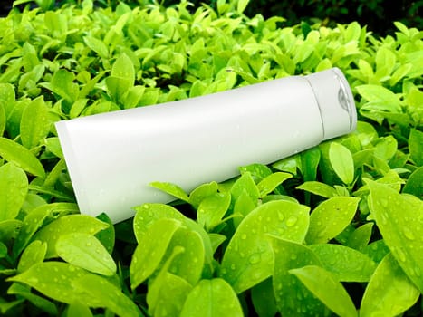 cosmetic plastic tube on green leaf background