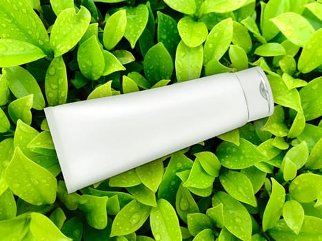cosmetic plastic tube on green leaf background. top view
