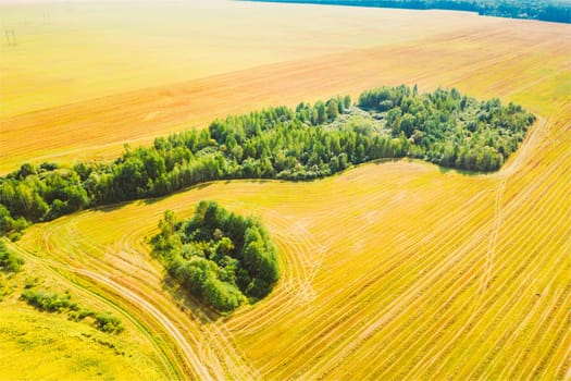 Small Green Natural Island With Green Grass, Forest In Summer Rural Field Landscape. Aerial View Of Summer Green Forest Island With Green Grass, Forest In Summer Rural Field. Aerial View Of Summer Hay Landscape. Harvest Season Time. Cut Dry Grass Turned Into Straw Has Not Yet Been Removed From Field.Hay Field Landscape. Harvest Season Time. Cut Dry Grass Turned Into Straw Has Not Yet Been Removed From Field.