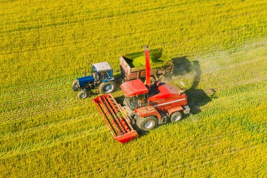 Aerial View Of Rural Landscape. Combine Harvester And Tractor Working Together In Field. Harvesting Of Oilseed In Spring Season. Agricultural Machines Collecting Blooming Rapeseeds Canola Colza. Elevated View.