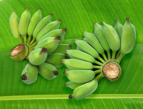 Fresh green raw banana on fresh banana leaves