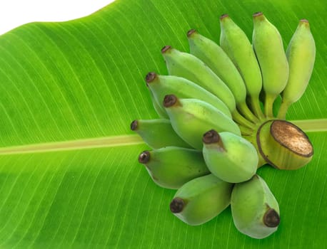 Fresh green raw banana on fresh banana leaves
