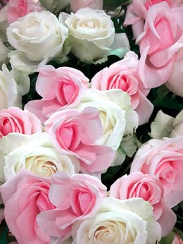 Perfume bottle on roses wall background colorful