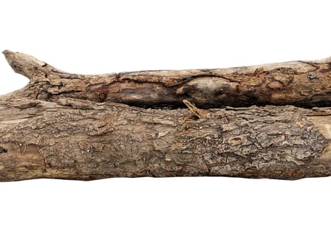 log isolated on a white background