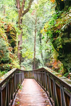 Mullerthal trail in Luxembourg between Echternach and Berdorf, hiking through a forest with sandstone rock formations
