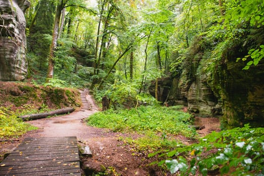 Mullerthal trail in Luxembourg between Echternach and Berdorf, hiking through a forest with sandstone rock formations