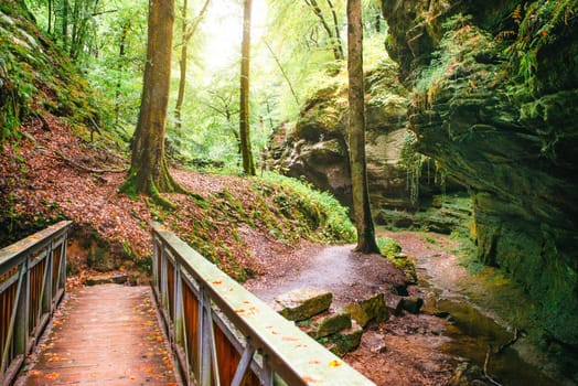 Mullerthal trail in Luxembourg between Echternach and Berdorf, hiking through a forest with sandstone rock formations