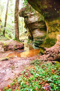 Mullerthal trail in Luxembourg between Echternach and Berdorf, hiking through a forest with sandstone rock formations