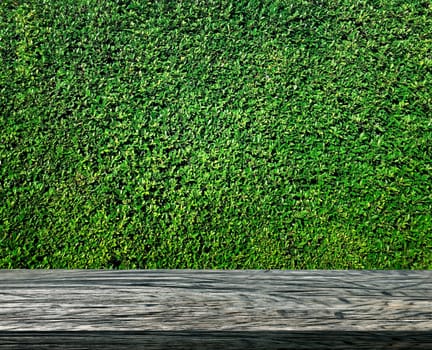 Empty wooden table and grass wall background. For product display
