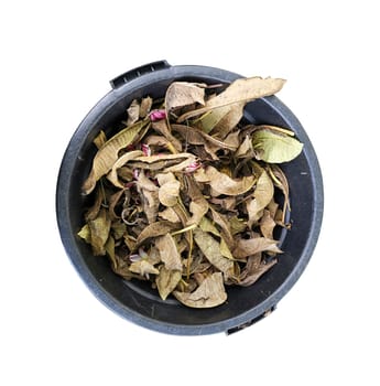 dry leaves in a black trash can