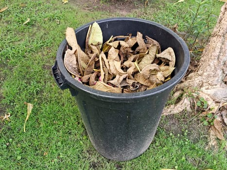 dry leaves in a black trash can in the park