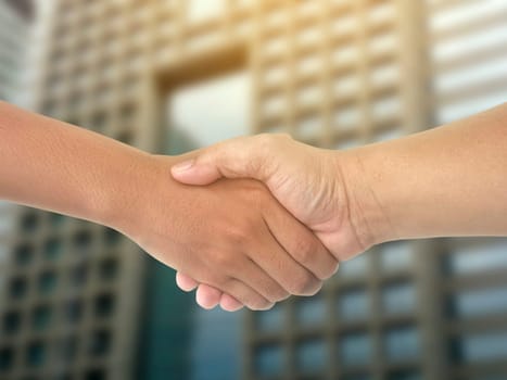 The businessmen shake hands after the meeting was successful and agreed upon