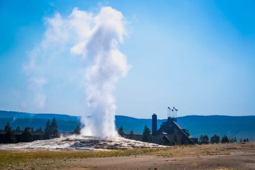 Old Faithful Geyser Erupting at Yellowstone National Park.