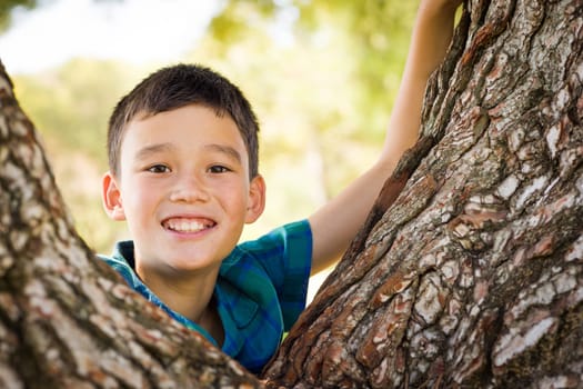 Outdoor portrait of a biracial Chinese and Caucasian boy.