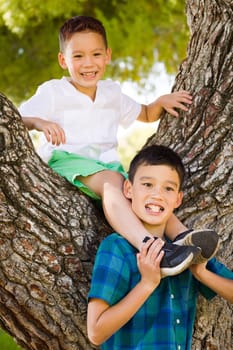 Outdoor portrait of biracial Chinese and Caucasian brothers having fun climbing a tree.