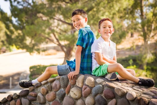 Outdoor portrait of biracial Chinese and Caucasian brothers.