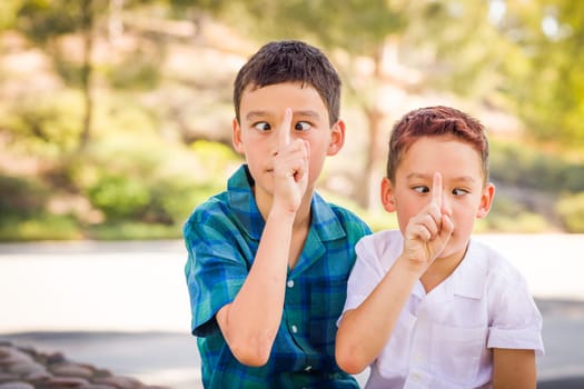 Outdoor portrait of biracial Chinese and Caucasian brothers having fun.