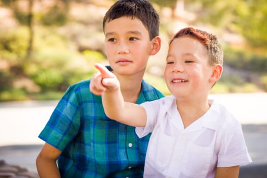 Outdoor portrait of biracial Chinese and Caucasian brothers.