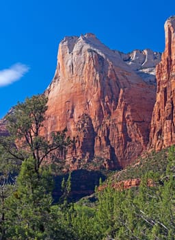 Sandstone Pinnacle in Springtime Light in Zion National Park in Utah