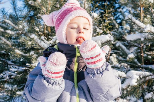 Little girl 3-4 years old in winter clothes overalls, hat and mittens, stands outdoors against snow-covered pines and fir trees and eats snow on sunny day. Winter holidays, children playing outdoors