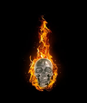 Fire skull on black background
