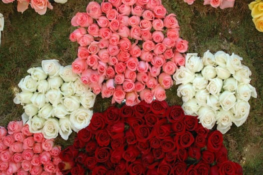 Pattern of bouquets of white, pink and red roses