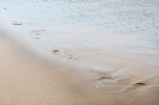 Footprint in the sand. Blurred footprints on the sandy beach.
