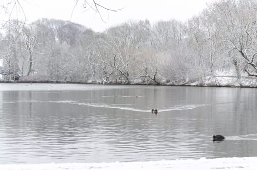 Small pond,lake in winter. In the background snow-covered buns.